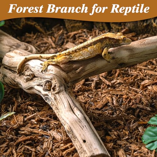 Reptile Climbing Branch with Cork Branch for Reptiles Climbing Branches 2 Pack Natural Tree Frog Cork Wood Stick Crested Geckos Habitat Decor