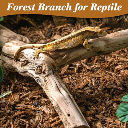Reptile Climbing Branch with Cork Branch for Reptiles Climbing Branches 2 Pack Natural Tree Frog Cork Wood Stick Crested Geckos Habitat Decor