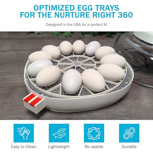 Egg Trays for 11 Large (Goose/Turkey) Eggs - Durable Egg Tray for Nurture Right 360 Egg Incubator - Hand Washable Eggs Keeper for Chicken Goose Turkey Emu (Various Sizes)