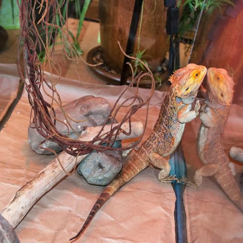 GANAZONO Artificial Reptile Climbing Vine with Bendable Rattan, Decorative Faux Tree Roots for Terrarium Habitat, Lizard and Snake Tank Décor, Jungle Vine for Reptile Enclosure