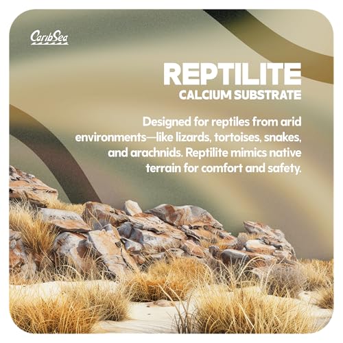 CaribSea Reptiles Calcium Substrate Sand - 20 lb Each - Natural White Sand for Reptile Terrariums, Promotes Healthy Habitat & Optimal Calcium Levels (Pack of 2) - size: 20lb (Pack of 2)