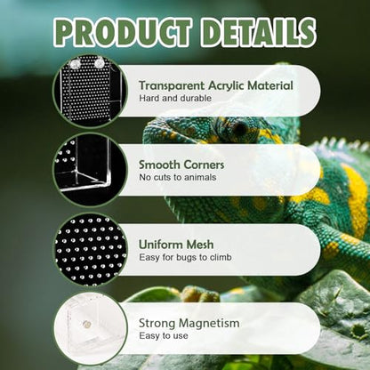 Bearded Dragon Feeder, Reptile Hunting Bowl with Calcium Powder Slot， Acrylic Chameleon Feeding Box, Wall-Mounted Insect Feeder for Lizard, Iguana, Gecko, Frog (Small) - color: Small Feeder Box