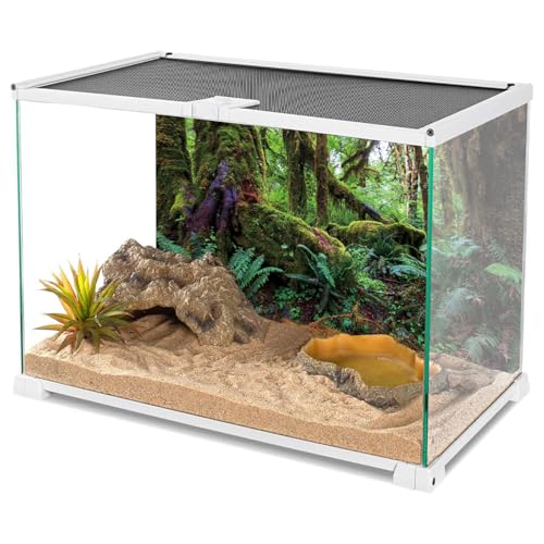 AWERT 36x20 inches Tropical Forest Terrarium Background Green Huge Tree Reptile Habitat Background Rainforest Aquarium Background Durable Polyester Background - size: 36x20in/90x50cm