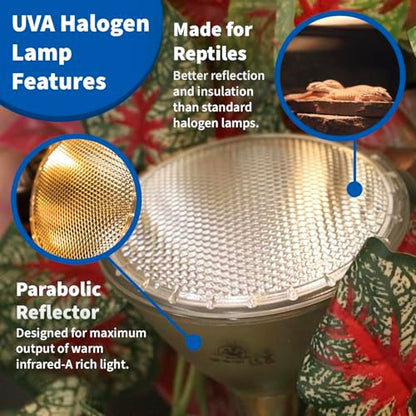Pangea 50W Halogen Heat Lamp for Reptiles - Warming UVA and Infrared Light for Turtles, Tortoises, Bearded Dragons - Heating Bulb Terrarium Accessories, Designed for Ceramic Sockets (50 Watt)