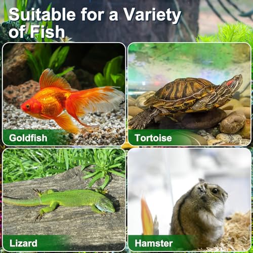 BESPORTBLE Small Fish Tank 4pcs Portable Reptile Habitat Plastic Turtle Tank with Lid Handle Clear Reptile Terrarium Hamster Box for Fish Snakes Aquarium