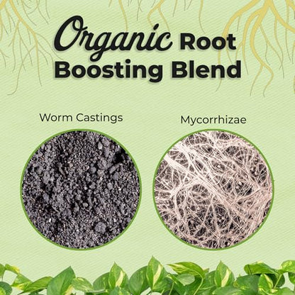 Organic Aroid Potting Mix by Perfect Plants | Chunky Gardening Medium for Tropical Indoor House Plants | Peat Free | Proper Drainage (8qt)