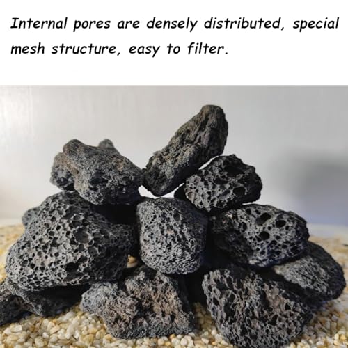 Tfwadmx 10 Pack Aquarium Black Lava Rock Fish Tank Volcanic Pumice Stones for Betta Fish Shrimp (1.96''-3.14'') - color: Black, size: L:2''-3.2''