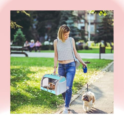 Bearded Dragon Travel Carrier Backpack,Lizard Backpack Carrier,Space Capsule Clear Bubble Window Astronaut Reptile Carrier Backpack for Guinea Pig,Sugar Glider,Bunny (Green, TPU Carrier+MAT) - color: Green