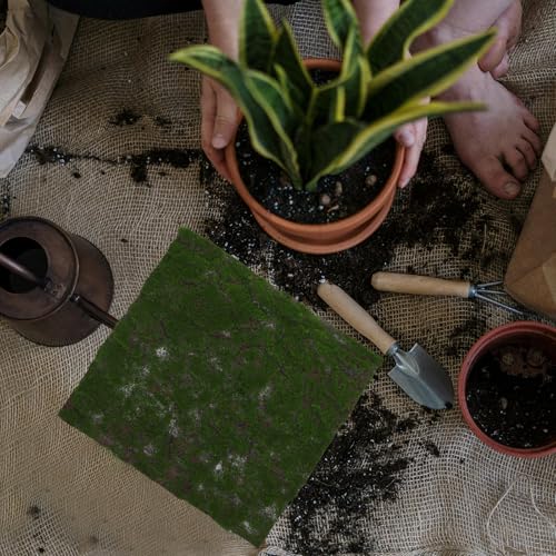 Angoily Artificial Moss Mat 30cm Faux Grass Turf for Terrarium Supplies Reptile Habitat Decorative Moss Mat for Crafts and Planters Home Décor