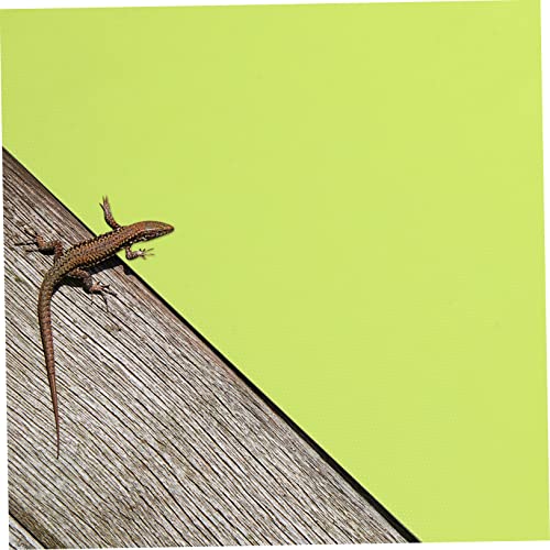 BESPORTBLE Non-Absorbent Reptile Mat Safe Material for Reptile Tank Easy to Clean -