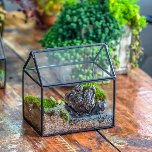 NCYP Small Glass Terrarium with Lid for Plant Succulent - 6.1 X 4.33 X 6.3 Inches - House Shape Flower Pot, Garden Tabletop Decor Planter, Geometric Centerpiece, Black (No Plants)