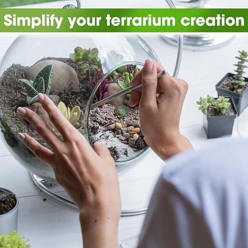 DUSPRO Terrarium Kit, Include Potting Soil, Pumice, Zeolite, Green Moss, Sphagnum Moss, Decorative Stone, Mesh, Tools, DIY Terrarium Kit for Kids, Air Plant, Succulent - size: Terrarium Kit