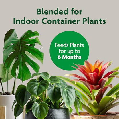 Miracle-Gro Indoor Potting Mix, Blended for a Variety of Houseplants, Feeds for up to 6 Months, 6 qt., 3-Pack - size: 6 qt (3-Pack), style: 6 QT