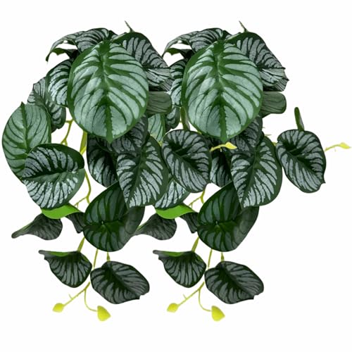 Reptile Plants for Terrarium, Artificial Hanging Plastic Plants with Suction Cups，Amphibian Tank Habitat Decor fit for Bearded Dragons Chameleon Lizards Snake 2Pack (F) - color: F
