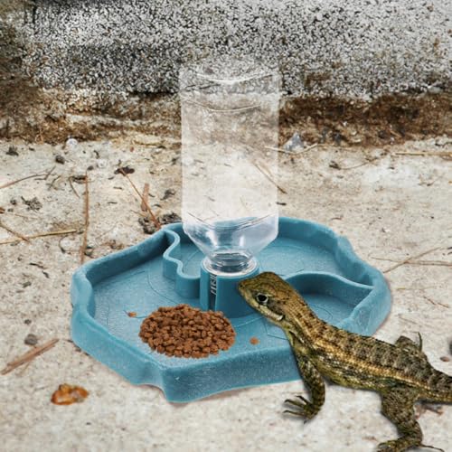 Kichvoe Automatic Reptile Water Feeder Bowl with Reservoir Blue and Dark Brown Lizard and Tortoise Water Dish for Terrarium Feeding for Bearded Dragons and Land Turtles