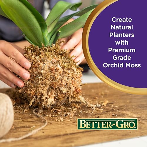 Better-Gro Premium Grade Orchid Moss - 100% Natural, Imported Sphagnum Moss for Orchids, Ferns, and Hostas, Excellent for Hanging Baskets and Propagating Plants - 190 Cubic Inches - size: 190 cu. in.