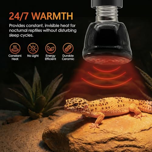 2Pcs 100W Reptile Heat Lamp Ceramic Emitter, Ceramic Heat Lamp for Cats, Chickens, Parrots, Reptiles and Small Animals (Black Mini 110V 100W) - color: Black Mini 110v 100w