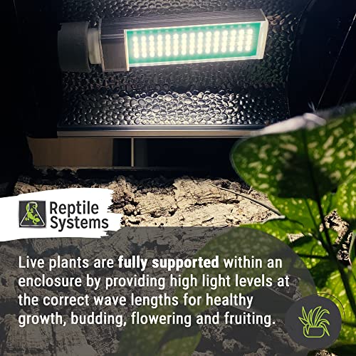 Reptile Systems New Dawn LED Compact – Balanced 6500K 13w Light for Enclosure Illumination – Compact Fixture for Terrariums & Vivariums – Enhances Clarity & Display - size: 13 Watts