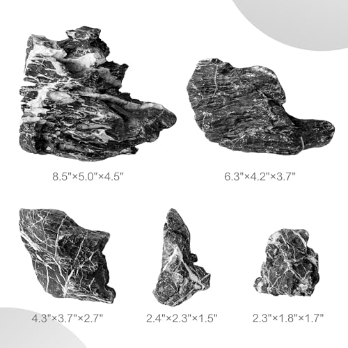 2.2-8.1 Inches Natural Seiryu Stone, 5 PCS Mixed Sizes Aquarium Rocks for Aquascaping, Iwagumi Layouts, Terrariums & Aquarium Décor - size: 2.2-8.1 in