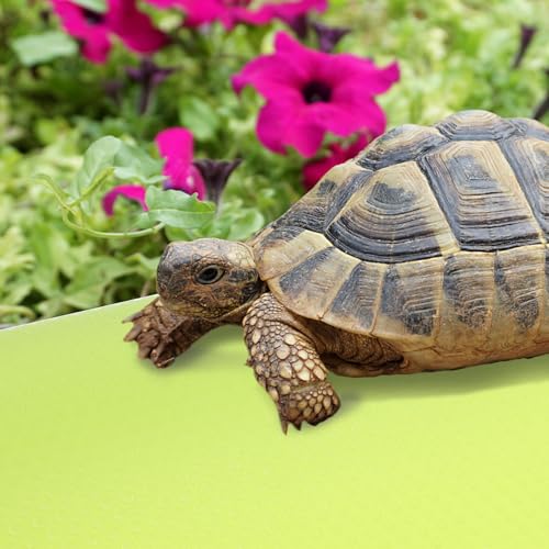 Foldable Reptile Carpet Mat for Terrarium Substrate Tailored Leopard Gecko and Tortoise Bedding Lightweight Washable Liner for Bearded Dragon Lizard Snake Turtle Habitat