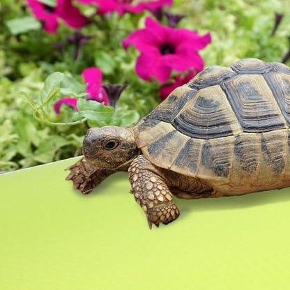 Foldable Reptile Carpet Mat for Terrarium Substrate Tailored Leopard Gecko and Tortoise Bedding Lightweight Washable Liner for Bearded Dragon Lizard Snake Turtle Habitat