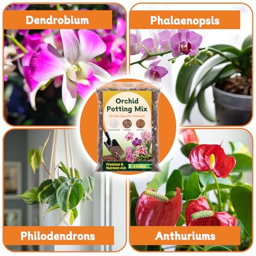Orchid Potting Mix,Premium Orchid Bark Potting Mix for Repotting Blend with Pine Bark,Perlite,Coco Peat, Natural Ingredients for Indoor Potted Plant, Well Drainage and Ventilation 1QT - size: Orchid Bark Potting Mix 1QT
