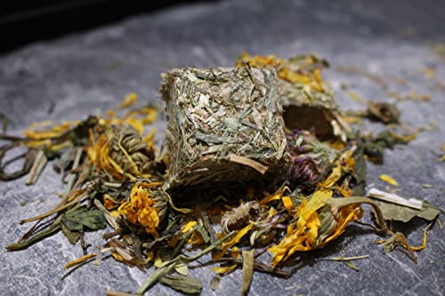 Arcadia Optimised52 Freshly Pressed Tortoise Food 1KG – All-Natural Tortoise High Fiber Diet with 52 Species of Grasses Herbs and Flowers, Complete Reptile Food with Bee Pollen, Calcium and Probiotics