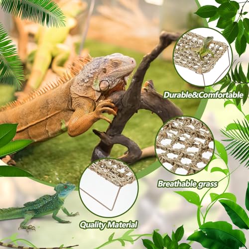 Soaoo 2 Pcs Bearded Dragon Hammock Lizard Reptile Tank with Metal Legs Collapsible Rectangle Bed Gecko Climbing Accessories for Habitats Small Animals Snake Iguana Amphibian Hermit Crab