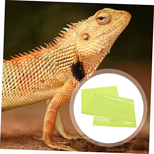 Reptile Carpet Mat for Tank and Oil Resistant Animal Washable and Terrarium Liner