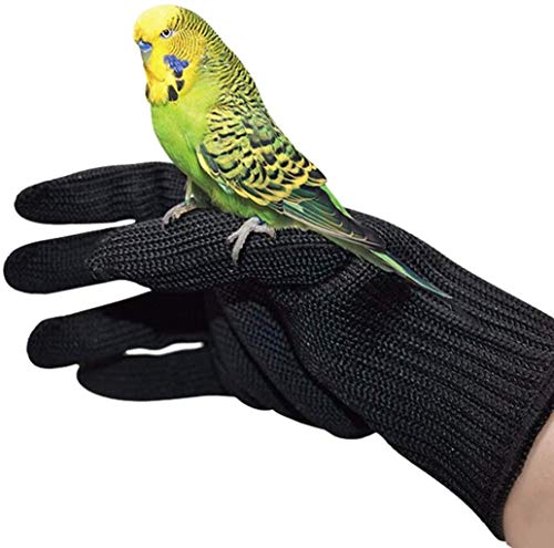alfyng Bird Training Anti-Bite Gloves, Small Animal Handling Gloves, Chewing Protective Gloves for Small Animal Pet Squirrels Hamster Parrotlets Cockatiels Finch Macaw (1 Pair) - color: Black