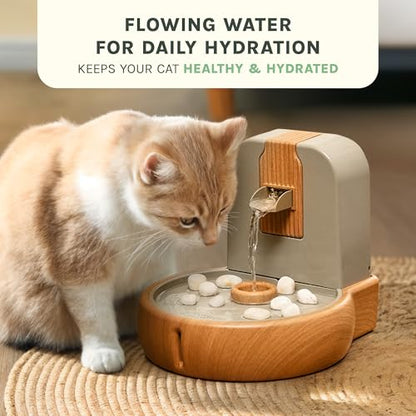 Cat Water Fountain – Eco-Friendly Zen Cat Fountain with Feng Shui Design, Splash-Free, Easy to Clean, Premium Filtration, Water Fountains for Cats Indoor, Great Cat