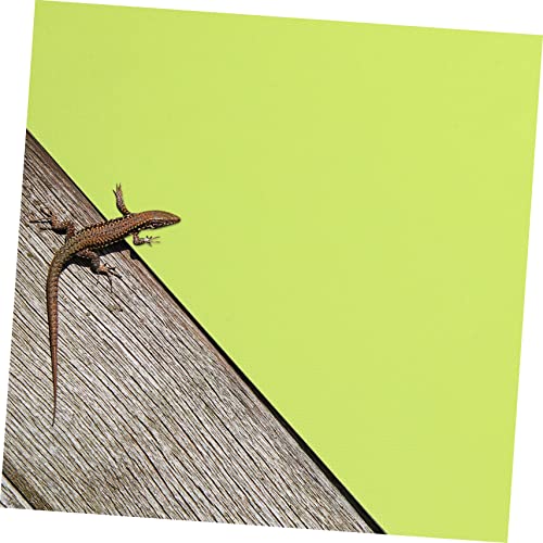 BESPORTBLE 2pcs Reptile Carpet and Substrate for Bearded Dragons Tortoises and Lizards Terrarium Liner - size: 150X30CM