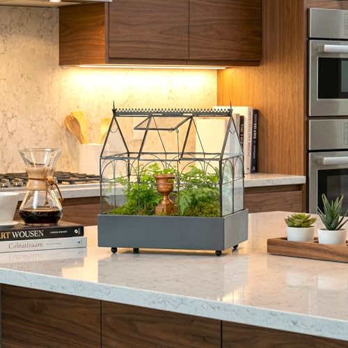 H Potter Glass Terrarium Wardian Case, with Hinged Roof 10.5" Tall | Indoor Tabletop Planter, Metal Base, For Succulents, Ferns, and Moss