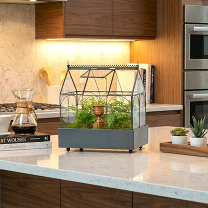 H Potter Glass Terrarium Wardian Case, with Hinged Roof 10.5" Tall | Indoor Tabletop Planter, Metal Base, For Succulents, Ferns, and Moss