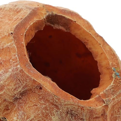 Amosfun Resin Pumpkin Reptile Hideout 3-Inch Terrarium Decor for Lizards Frogs Turtles Naturalistic Reptile Tank Shelter Cave