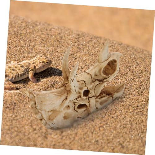 POPETPOP Resin Dinosaur Skull Aquarium Hideout for Shrimp and Reptiles Tank Decor for Freshwater and for Terrarium Landscapes and Boys and Girls Rooms