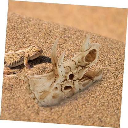 POPETPOP Resin Dinosaur Skull Aquarium Hideout for Shrimp and Reptiles Tank Decor for Freshwater and for Terrarium Landscapes and Boys and Girls Rooms