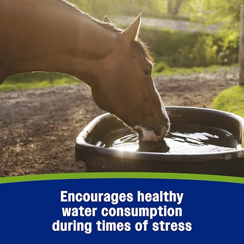 Farnam Apple Elite Electrolyte Paste Supplement for Horses, 60 cc Syringe, Replaces Vital Minerals, Hydration Electrolytes for Horses, No Added Sugar, Digestion Support, Muscle Function & Recovery