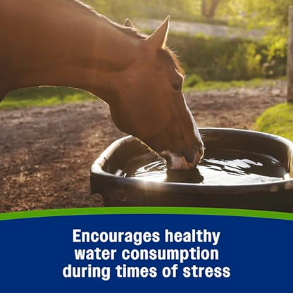 Farnam Apple Elite Electrolyte Paste Supplement for Horses, 60 cc Syringe, Replaces Vital Minerals, Hydration Electrolytes for Horses, No Added Sugar, Digestion Support, Muscle Function & Recovery