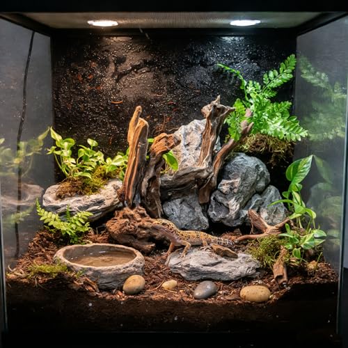 emours Aquarium Driftwood (8–12 in) 2 Pieces Natural Mopani Branches Assorted Size - size: Small (8–12 in / 20–30 Cm)