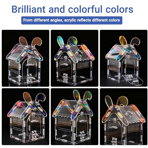 Acrylic Jumping Spider Enclosure with Magnetic Lock, 3mm Clear Terrarium for Tarantula, Mantis, Scorpion | Escape-Proof, No Tool Assembly