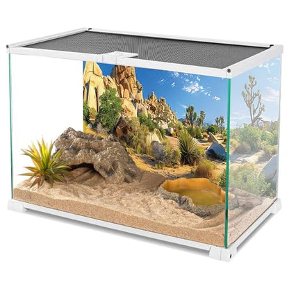 AWERT 24x12 inches Reptile Habitat Background Stone Blue Sky Oasis Cactus Sun and Desert Terrarium Background Polyester Background - size: 24x12in/60x30cm