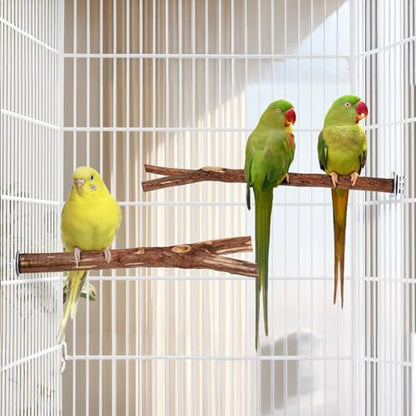 Niteangel Natural Wooden Perches for Bird Cages - Ideal for Cockatiels, Parakeets, Finches & Other Caged Birds (No-Bark, 2 Pack) - color: No-Bark