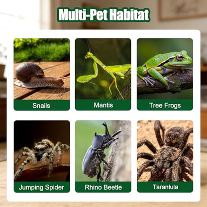Heart Shaped Acrylic Tarantulas Enclosure, Magnetic Front Door Bug Habitat with Feeding Port, 3 Side Ventilated Bug Enclosure Kit for Geckos, Mantises, Snails, Other Small Pets