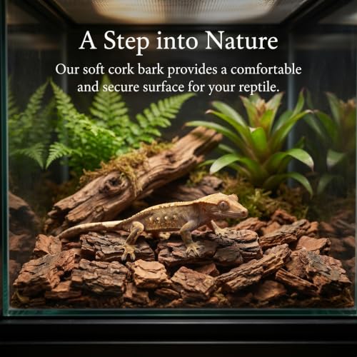 1 Set Reptile Bark Bedding: Natural Cork Bark for Reptiles - 0.57LBs Flat Wood Terrarium Substrate Supplies for Snake Spiders Bearded Dragons Hermit Crabs Geckos