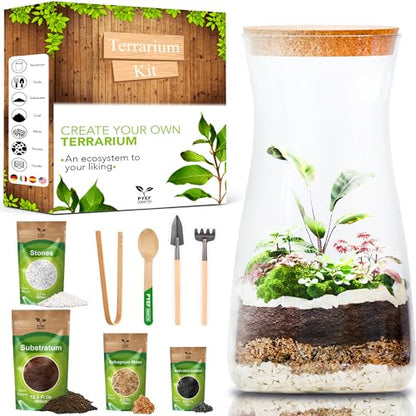 Terrarium Kit for Plants DIY | Starter Pack – Closed Ecosystem – 34 fl oz Glass – Succulents, Air Plants, Bonsai, Indoor Plants – (Plants Not Included) - size: 34 fl oz