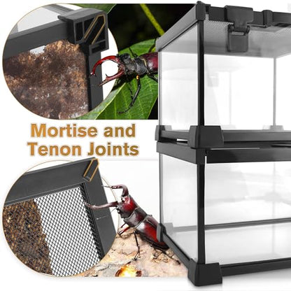 Mini Reptile Glass Terrarium Vivarium 8'' x 8'' x 6'', Full View Tank for Small Arthropod Pets Such as Pumpkin Patch Tarantulas, with Feeding Slot & Box Lock Buckle - size: 8"D X 8"W X 6"H