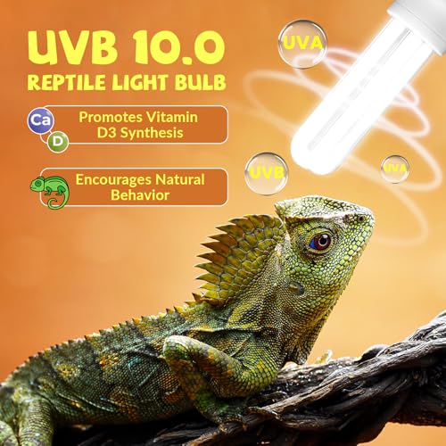 GlowUp UVB 10.0 Reptile Light, 13W Desert Reptile Light for Reptiles Compact Fluorescent UVB Bulbs for Bearded Dragon, Lizard, Snakes (2-Pack)