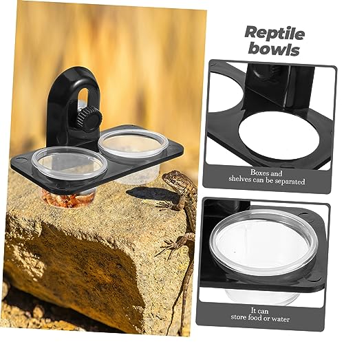 BESPORTBLE 3pcs Reptile Feeder Bowl Large Reptile Water Bowl Gecko Feeding Cups Pet