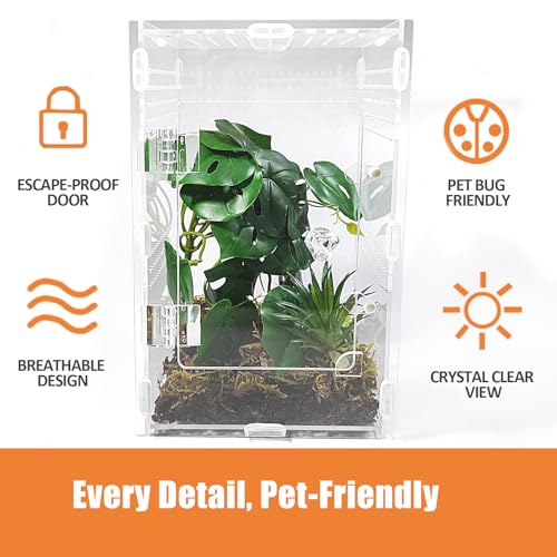 Acrylic Jumping Spider Enclosure Large 6”x6”x10” with Front Door, Arboreal Tarantula Enclosure, Praying Mantis Habitat for Spider, Mantis, Snail, Tarantula, Isopods, Beetles, Millipedes